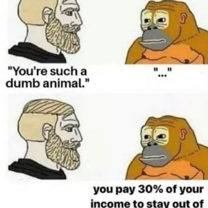 Da hat das dumme Vieh recht