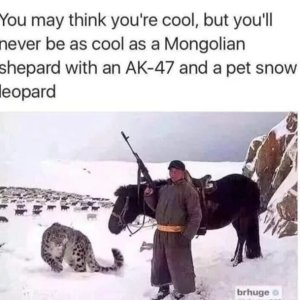 Coole Sau