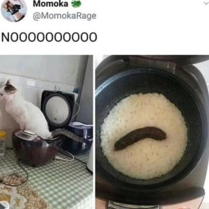 Upsi