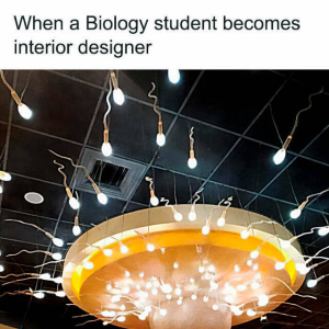 Nice