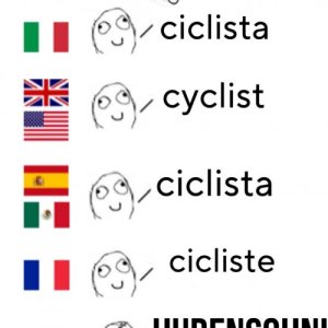 Blöden Wichser aller