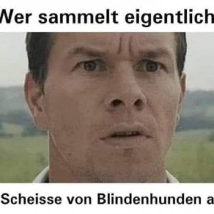 Fragen über Fragen