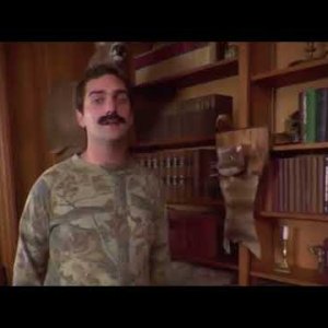 Wkuk - Cat Hunting