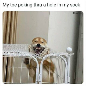 Henlo!