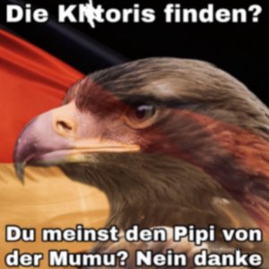 Klitoris