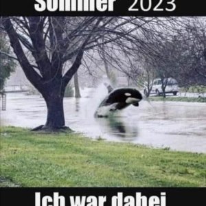 Sommer 2023.jpg