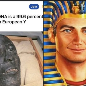 we wuz kangz n sheit