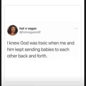 hot n vegan