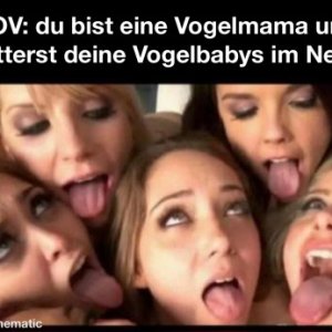 Vogelmamer müsst man sein