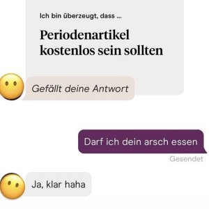 Periodenartikel