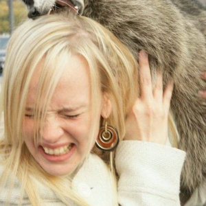 lol der Otten