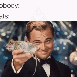 Wolle Maus?