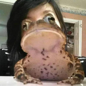 Henlo