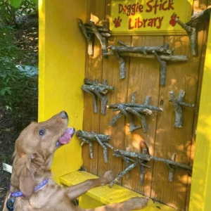 Sehr interessant, wuff!