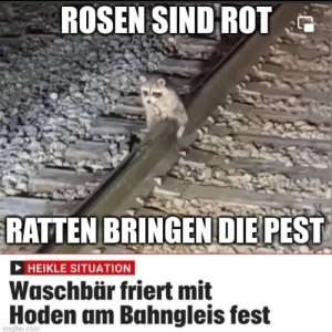 Armer Otten