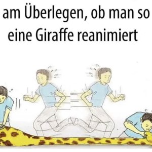 Reanimation