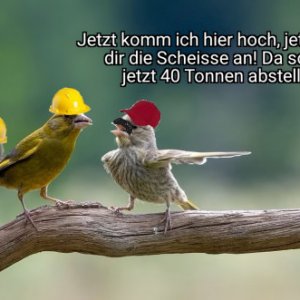 HAM DIE KEIN BANDMAß WAS ACHT METER LANG IST