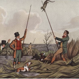 Ottengame - Ein Gentleman Sport
