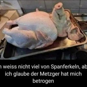 FB_IMG_1697720247537.jpg