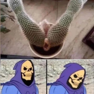 Skeletor der Perverse