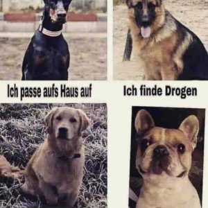 Ganz wichtig!