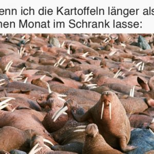 Jedes Mal aber auch