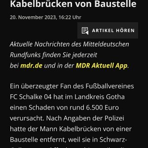 Dorrchschnittlicher Fußballgucker
