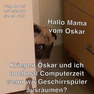armer Osker