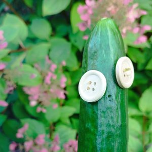 Neues Update von der sprechende Gurke 🥒🥒
