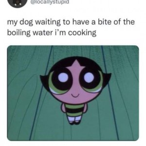 lel der alte dooog