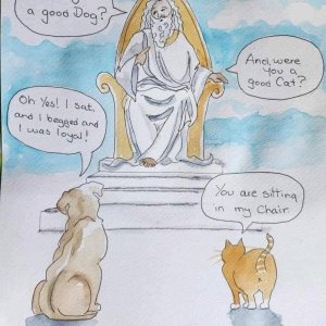Cats &amp; Dogs