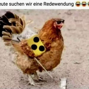 😂👌