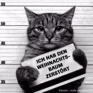 Alle Jahre wieder