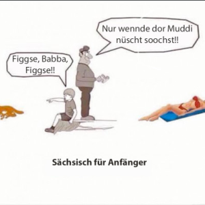 Figgefux