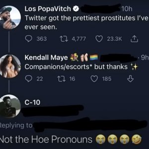 Verdammte Pronomen