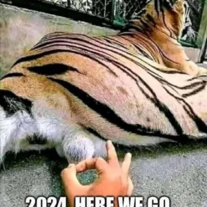 2024 wird gut