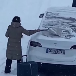 Typisch Teslafahrer-in