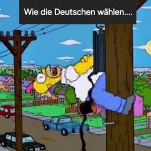Deutsches Wählerverhalten