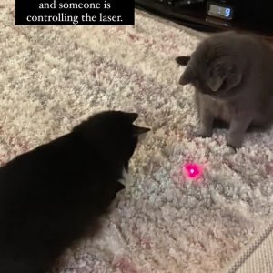 Red pill