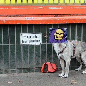 LOL DER HUNT!!1111!!!!111