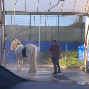Wachspflege nicht vergessen