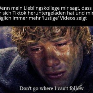 Wer kennt sie nicht die lustige Videos