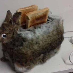 Toastet auch Nüsse