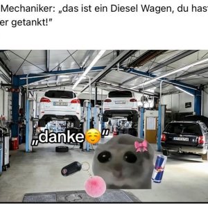 Dschenner