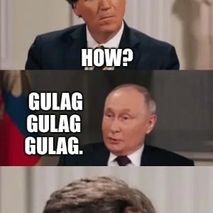 Putni pls
