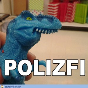 POLIZFI