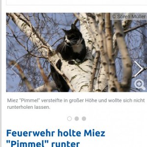 gnihihi