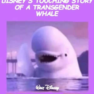Disney, es reicht!!