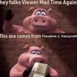 Theo und die Schweinerei