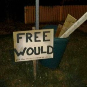 Free Would.jpg